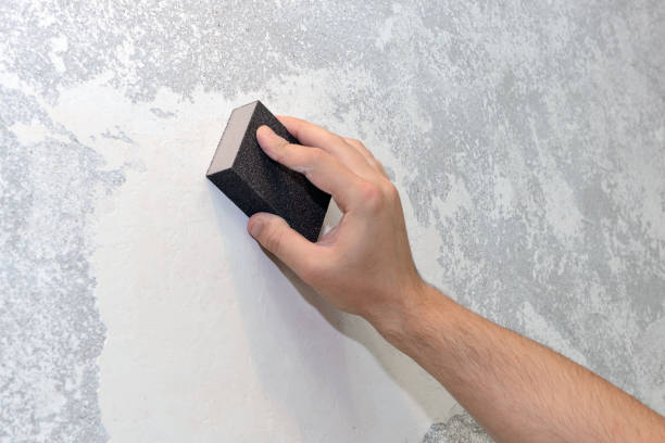 Best Mold Damage Restoration  in Brook Park, OH