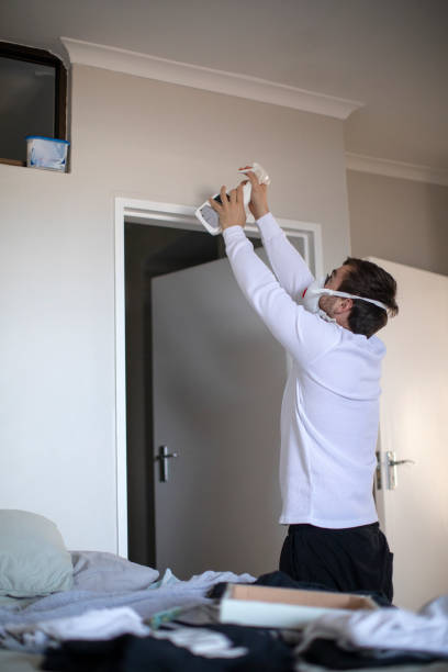  Brook Park, OH Mold Removal Pros