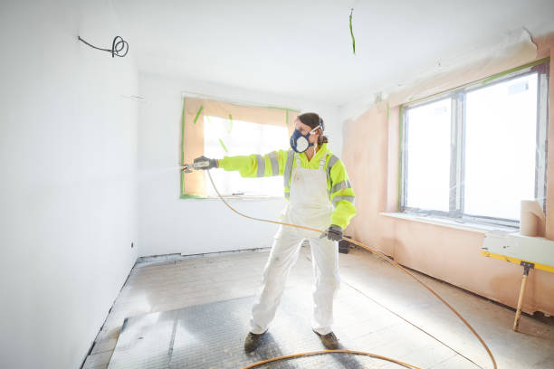 Best Mold Prevention Services  in Brook Park, OH