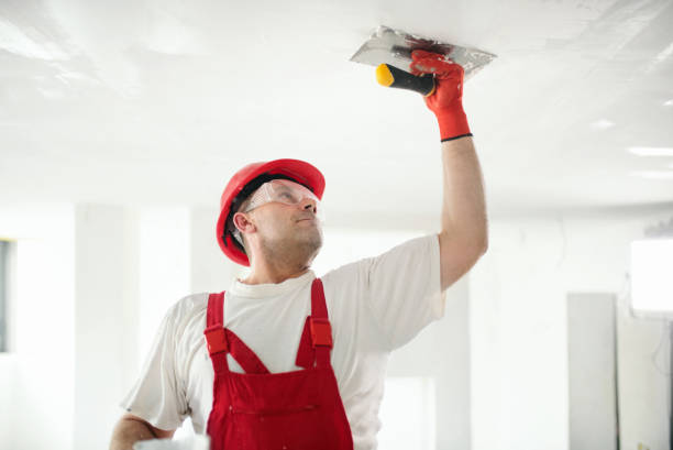 Best Water Damage & Mold Remediation  in Brook Park, OH