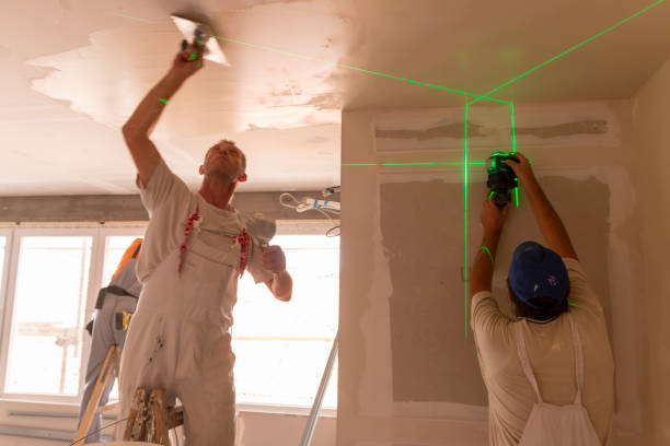 Best Environmental Consulting for Mold Prevention  in Brook Park, OH