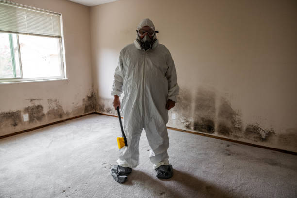 Best Biohazard Mold Removal  in Brook Park, OH