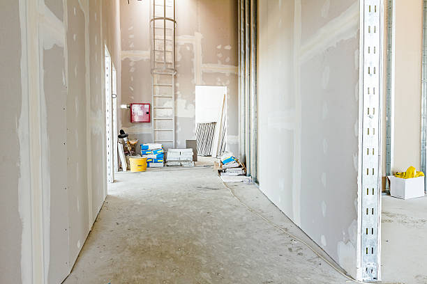 Best Real Estate Mold Inspection  in Brook Park, OH