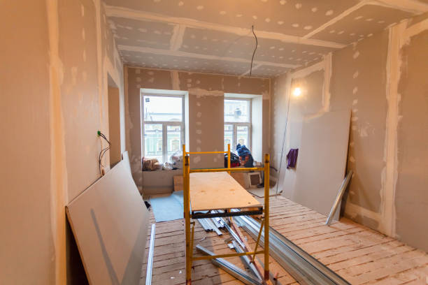 Best Basement Mold Removal  in Brook Park, OH