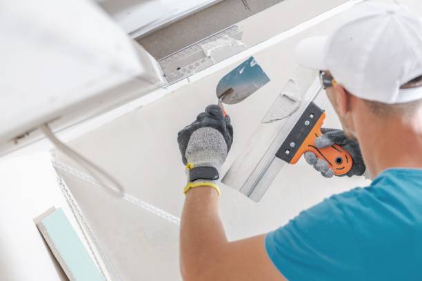 Best Attic Mold Removal  in Brook Park, OH